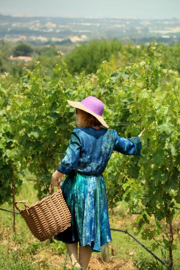 Quinta Da Chapeleira Em Azeitao Βίλα Εξωτερικό φωτογραφία