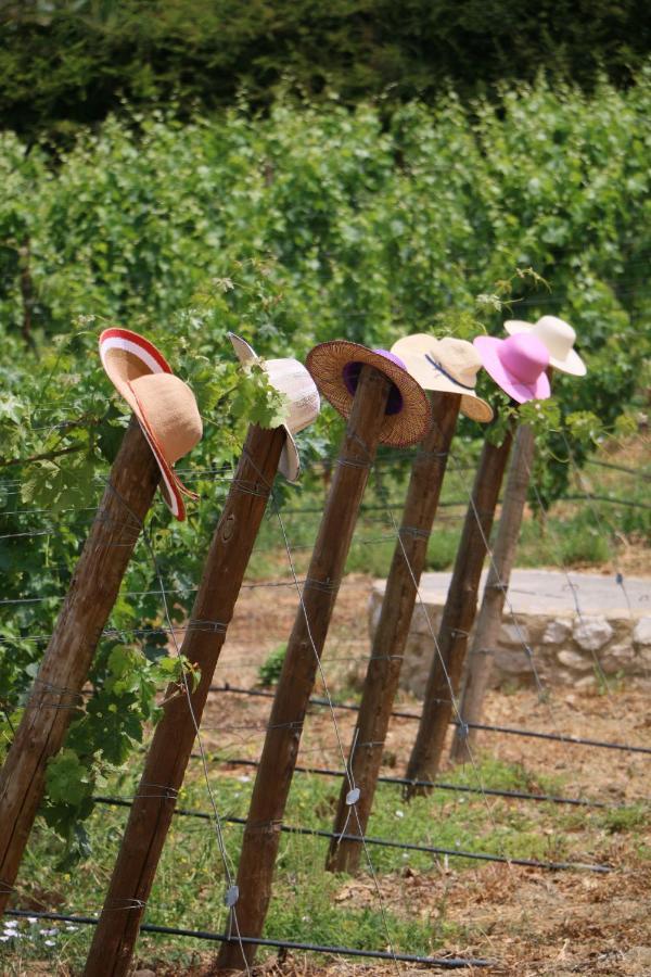 Quinta Da Chapeleira Em Azeitao Βίλα Εξωτερικό φωτογραφία