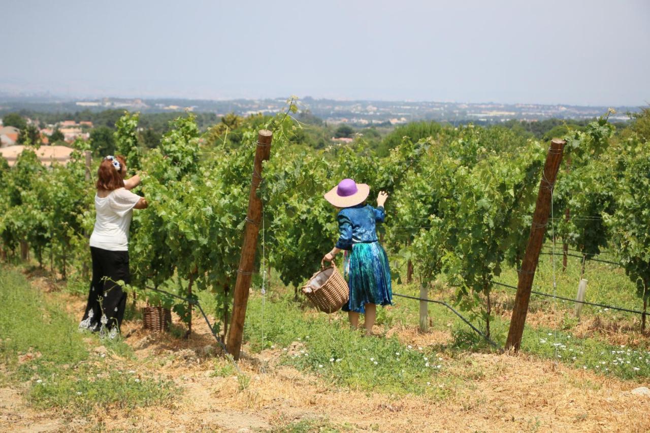 Quinta Da Chapeleira Em Azeitao Βίλα Εξωτερικό φωτογραφία